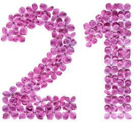 Arabic numeral 21, twenty one, from flowers of lilac, isolated on white background