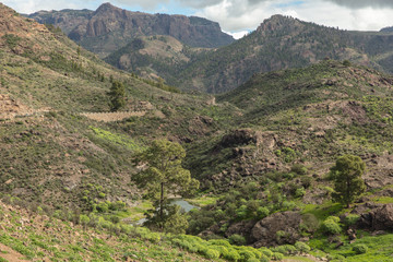 Fototapeta premium Bach im Gebirge von Tejeda, Gran Canaria