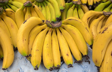 fresh bananas at local city market