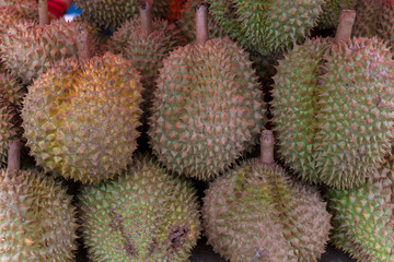 Fototapeta premium close up image of Durian, Thai traditional local fruits. Durian have sharp thorn on the outside. Durian has yellow pulp and sweet taste. Durian has strong strange weird smell.