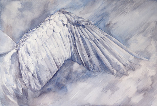white swan wing spread wide aside - watercolor painting with detailed paper texture