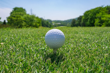 Golf Course where the turf is beautiful and Golf Ball on tee. Golf course with a rich green turf beautiful scenery.