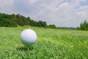 ゴルフボール ティーアップ