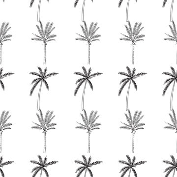 Hand-drawn seamless pattern with palm trees, isolated on white background
