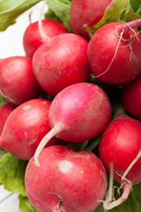 Fresh bunch red radish for cooking.