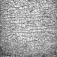 Grunge white and black background, texture.