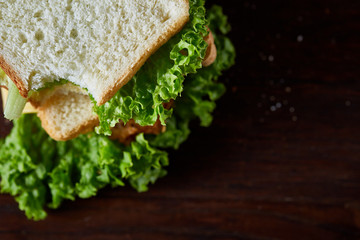 Tasty and fresh sandwiches on a dark wooden background, close-up