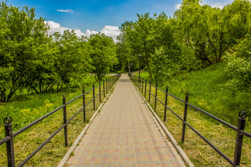 Fototapeta premium concrete road in beautiful spring park