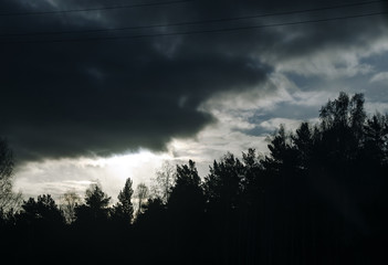 gloomy sunset and silhouettes of trees