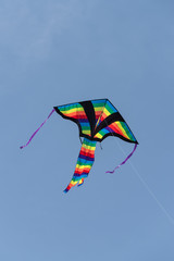 Kite flying in sky