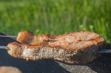 grilled steak from red fish, food on the grill outdoors background