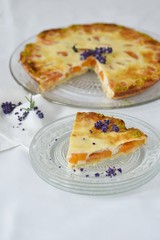 Frisch gebacken, hausgemachte Lavendel-Aprikosen-Tarte