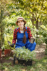 woman gardener holding seedling of tomato