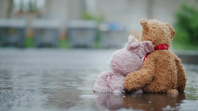 Two friends - a hare and a bear cub are sitting on the asphalt in the rain. Look at the trash cans in front, hug. Lost Toys