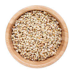 Raw organic green buckwheat sprouts in wooden bowl isolated on white. Top view.