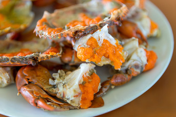 Boiled crab fresh and hot - delicious appetizer, steamed crab showing the delicious crab's eggs inside its shell