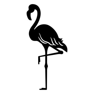 Flamingo black silhouette, standing on one leg, isolated.