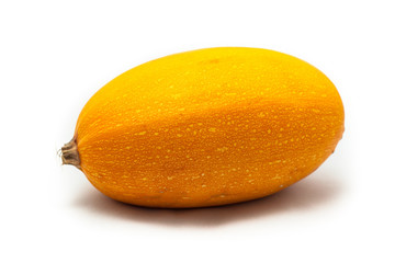 Colorful pumpkin and squash Spaghetti