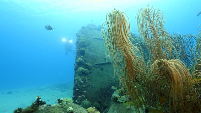 Ship wreck at scuba dive around Curaçao /Netherlands Antilles