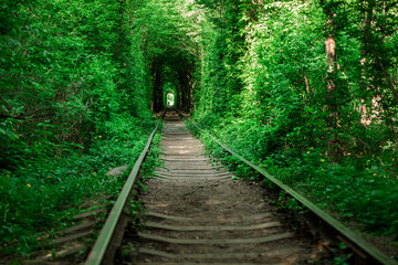 a railway in the spring forest tunnel of love
