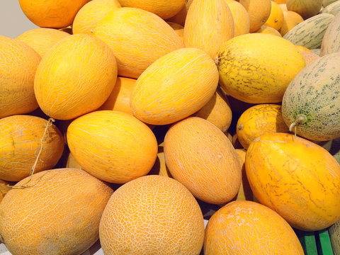 Many big yellow melons fruits close-up