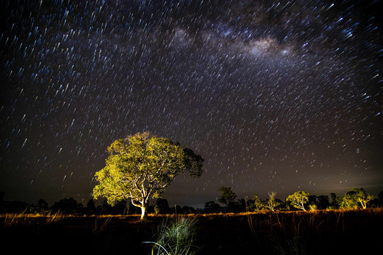 Startails and Milky Way
