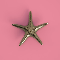  Golden star sculpture on pastel pink background. 3d rendering