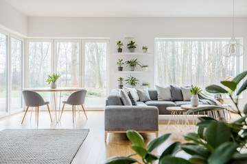 Scandi living room interior