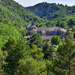 Fototapeta na wymiar Abbey of Senanque, France