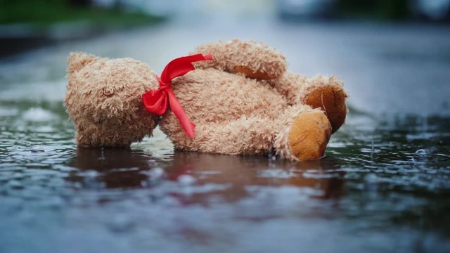 The abandoned little bear lies on a wet road, it's raining. Loss and Depression concept