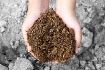 Asian girl holding hands before the ground breaking of the ground. Soil deterioration can not grow crops on land died by the hand of the master's in black and white. Conveys the arid and lifeless.