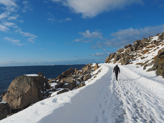 Küstenwanderung auf den Lofoten im Winter