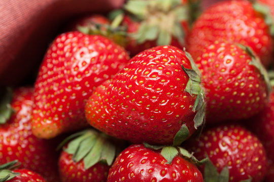 Basket of fresh strawberry harvest, bio dessert delicious.