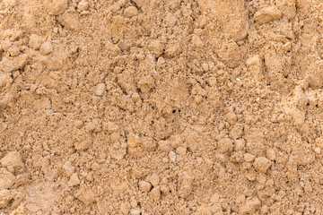Building sand close up - sandy background