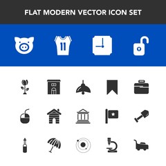 Modern, simple vector icon set with shirt, protection, electricity, clock, basketball, bag, pork, grass, bank, internet, building, sign, sport, banking, pig, lamp, money, floral, animal, science icons