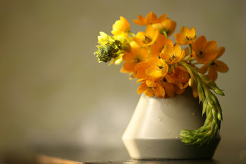 orange flower in vase