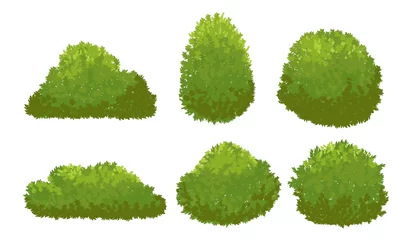 Foto op Plexiglas Garden green bushes. Cartoon shrub and bush vector set isolated on white background © MicroOne