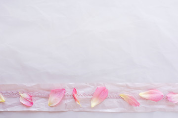 Rose petals decorated on pink background