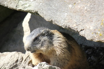 Blick aus dem Balkon