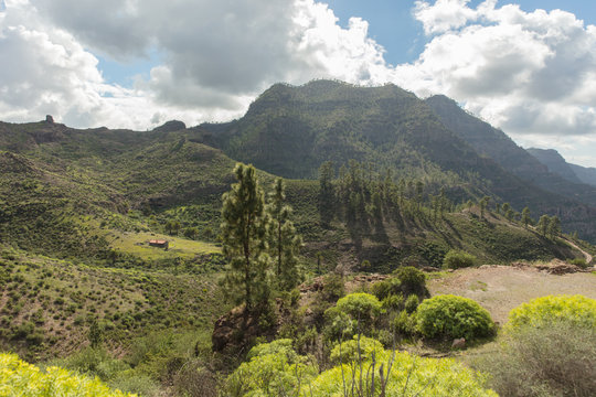 Idyllische Natur mit Gebirge in Gran Canaria