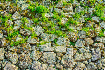 城壁・篠山城大書院