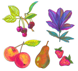 fruit set. Sketch markers fruits
