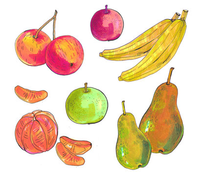 fruit set. Sketch markers fruits