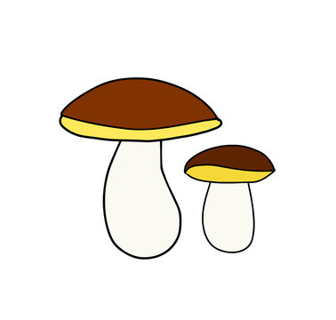 Wild forest mushroom icon
