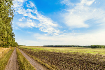 Plakat Countryside landscape. Field with removed harvested crop under the blue sky. Country dirt road in the field. Belgorod region, Russia.