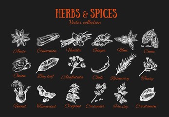 Herbs and Spices condiments 3