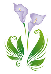 beautiful purple lilies ornaments © Mareen Vandelay