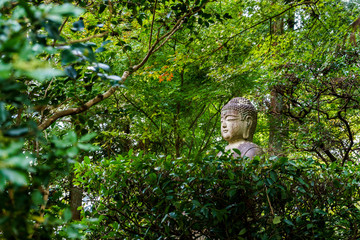 Budha in the forest