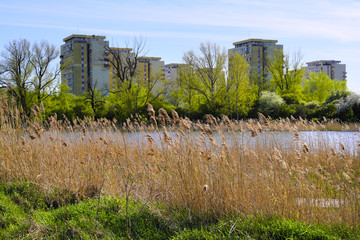 Warsaw, Poland - Czerniakowskie Lake nature reserve in Czerniakow quarter of Warsaw with residential developments in background