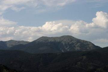 Obraz na płótnie Canvas Hamster mountain